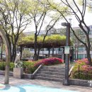 문화의거리쉼터 이미지