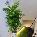 토미하우스 이미지