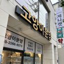 부산사상구 고양이 분양 전문점 &lt;제나캣&gt; 입양 찐후기!