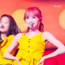 큐리어스 이미지