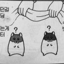 오토리버스 - 진주시 가호로 90 | 오토리버스