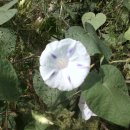 하성농장 이미지