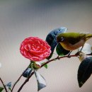 꿈속에서 이미지