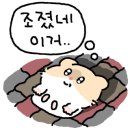 종로태양약국 이미지