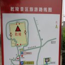 태자