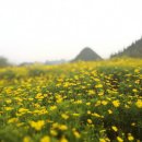 정 행정사사무소 이미지