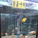 천안기구수족관