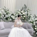 쿠페아 | 드레스투어 후기 1편 / 보니타베일리 (당일계약 혜택 공유)