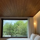 너울민박 | 강릉 감성숙소 너울민박 후기 (+강릉중앙시장) 강릉 커플 여행 숙소 추천!!