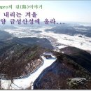 금성방역
