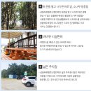소나무펜션형민박 | 안면도민박, 해루질과 맛조개체험이 함께하는 푸른텔콘도형민박