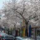 상평초등학교 이미지