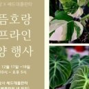 쎄드데플란타 이미지