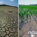 경기 북부 일부 가뭄 해갈 강화 영동지방 가뭄은 계속 이미지