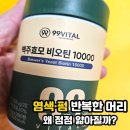 위하다 | 맥주효모 비오틴 10000 내돈내산 솔직 체험 후기｜모발 영양 관리용