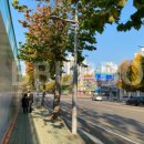 지하철정문약국 이미지