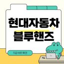 블루핸즈 이미지