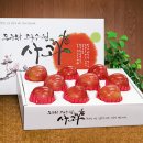 동구밖과수원 이미지