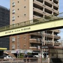 행복나라상점 | 여행 3박 4일(3-2)💛오스상점가(아이스크림, 당고, 앨리스상점) 방문/코메다커피 메뉴 추천/후시미역...