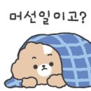 광주유치원 이미지