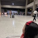 뉴그린호텔 | [가족 첫 세부여행] 세부 뉴타운 0.5박 호텔 '세바스티앙' 추천 내돈내산 후기