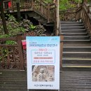 숲속의펜션 이미지