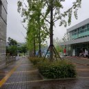 낙동강수련원 캠핑장 이미지