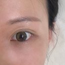 렘드뷰티 | 발산역 속눈썹연장 : 렘드뷰티 마스카라연장 후기