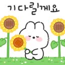 챌린지 댄스 댄스 이미지