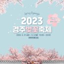 벚꽃 - 부평구 마장로324번길 78 | 벚꽃