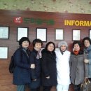 도미솔식품 이미지