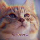 리메이킹 이미지