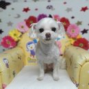 소답동225 이미지