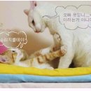 응 이미지