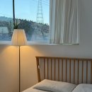 설악애견 | 강원도 속초 여행 중형견 대형견 애견동반 가능 펜션 고성 설악의정원 카페서락 내돈내산 숙소 추천