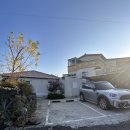 고내리본 이미지