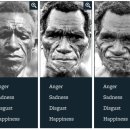 뒤센스마일 이미지