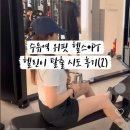 (주)브이엠케이헬스 | 수유역 pt 위핏 헬스 하체 프로그램 루틴 공개