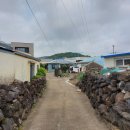 고성리-6 이미지