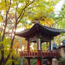 만산홍엽이라 10월의 북한산 족두리봉 그 관전포인트 후기
