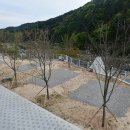 내를 건너서 숲으로 캠핑장 이미지