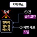 대신자연에너지 이미지