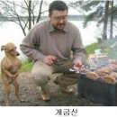 동글동글 이미지