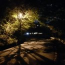 퇴촌 낭만펜션 이미지