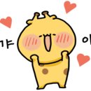 디아이스토어 이미지
