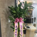 휴메디치과기공소 이미지