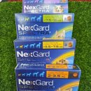 온누리우리약국 이미지