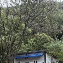 좋은하루캠핑장 이미지