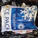 다드림푸드 | 국거리용 한우사태 한돈 오겹살 홍천정육점 다드림 축산물