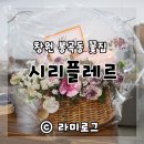 봉곡동248 | [창원 꽃집] 봉곡동 꽃집 시리플레르 착한가격에 꽃도 예쁘네